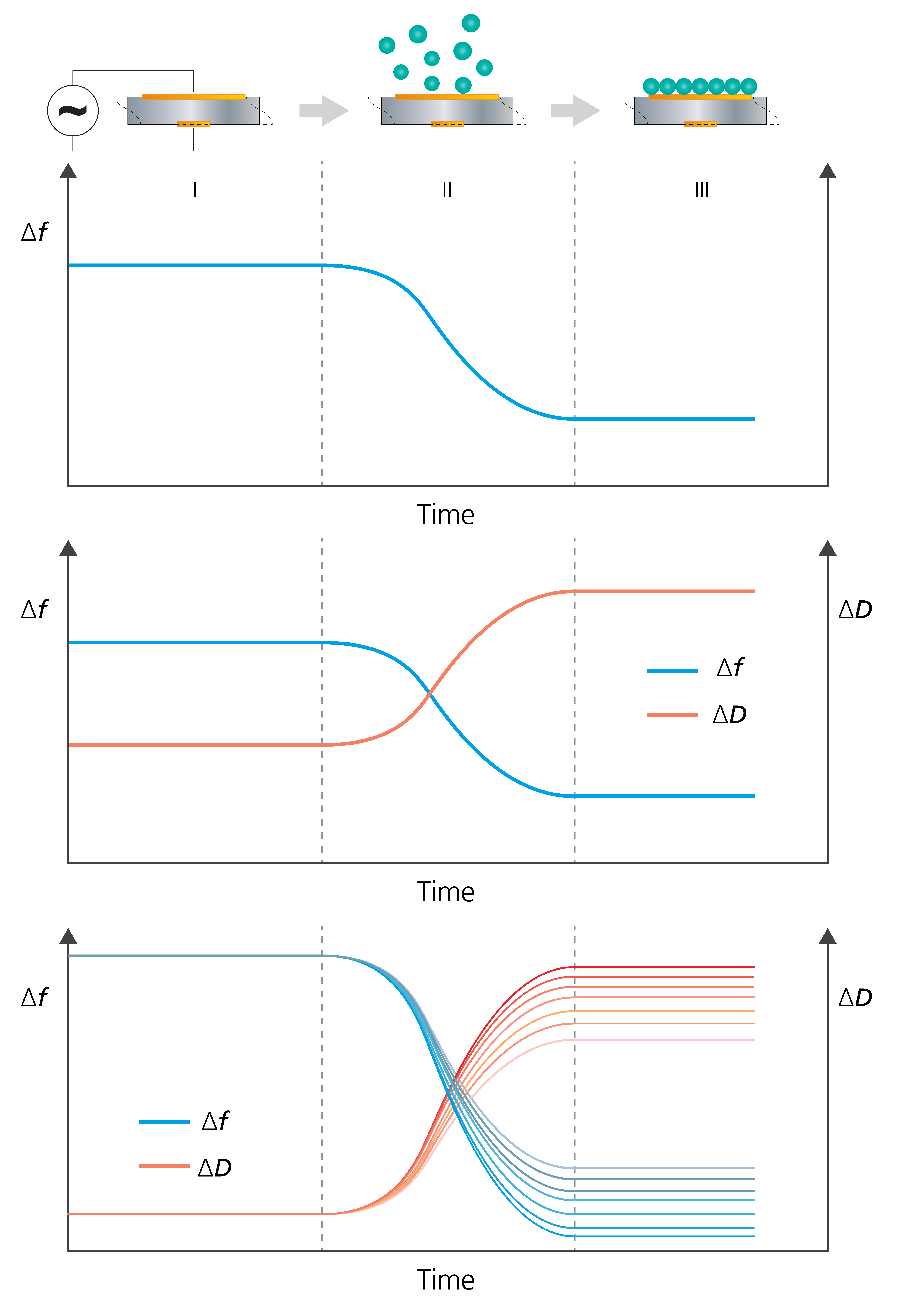 Singleharmonic vs multiharmonic QCMD what is the difference?